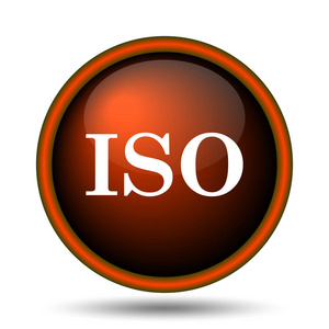 Iso 图标。白色背景上的互联网按钮