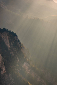 山崖上的阳光