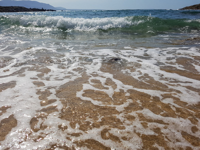 美丽的大海，海浪和沙子。温柔的大海。暑假在 se