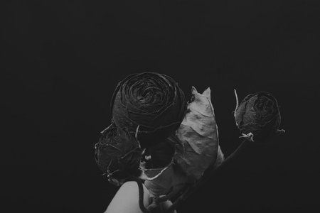 干玫瑰中的烟，黑色和白色的创意照片