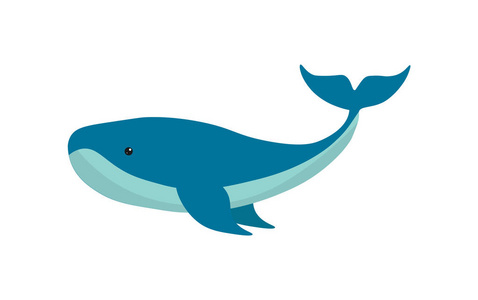 一只大可爱的蓝鲸