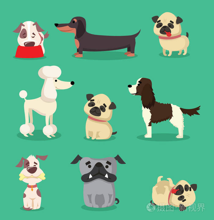 卡通斗牛犬 腊肠 哈巴狗 贵宾犬 杰克拉塞尔和美国卡犬在绿色背景下插画 正版商用图片0s7nyt 摄图新视界