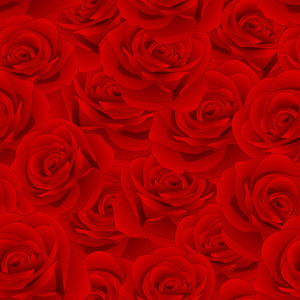 美丽的红玫瑰罗莎无缝背景。情人节。矢量插图