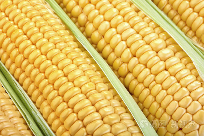 鲜食玉米的特写视图