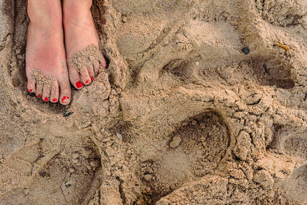 海滩沙滩上的女人脚