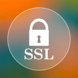 Ssl 图标。彩色背景上的互联网按钮