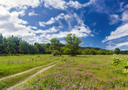 在萨哈林岛美丽的夏季景观