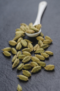 种子白豆蔻种子白勺照片