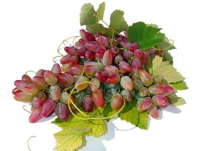 成熟的粉红色葡萄在白色的背景下，群集的宏