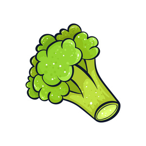 矢量手画的绿色花椰菜插图.coloful 卡通图标.