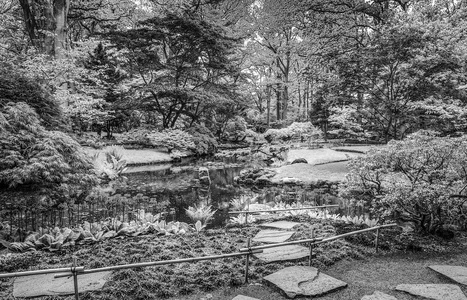 传统的日本园林。黑白照片