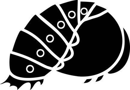 黑色瓢虫白色背景下瓢虫卡通蛹的黑色剪影照片