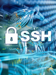 Ssh, 安全的外壳协议和软件。数据保护互联网和电信概念