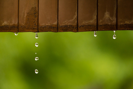 雨水滴图片 雨水滴素材 雨水滴插画 摄图新视界 雨水滴图片 雨水滴素材 雨水滴插画 摄图新视界