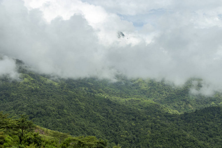 山上有树和云的风景