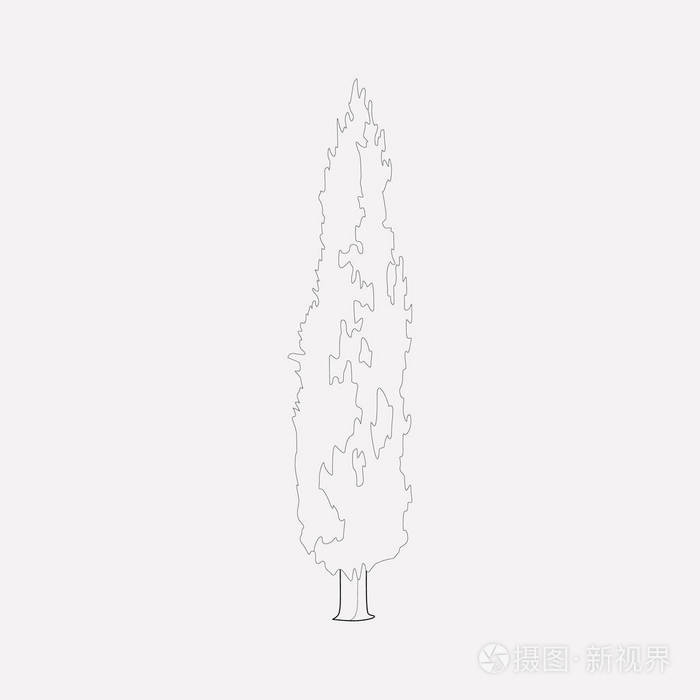 摄图新视界 插画 动物,植物 柏树图标线元素.