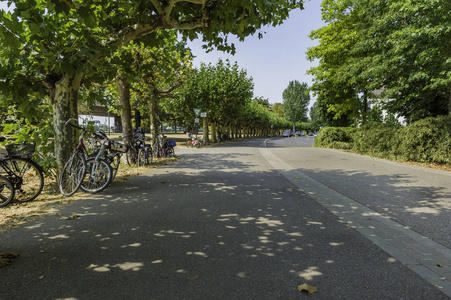 德国杜塞尔多夫的一条公路沿线有树木的自行车固定