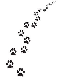 左打开脚印的狗,打开左转或右转照片