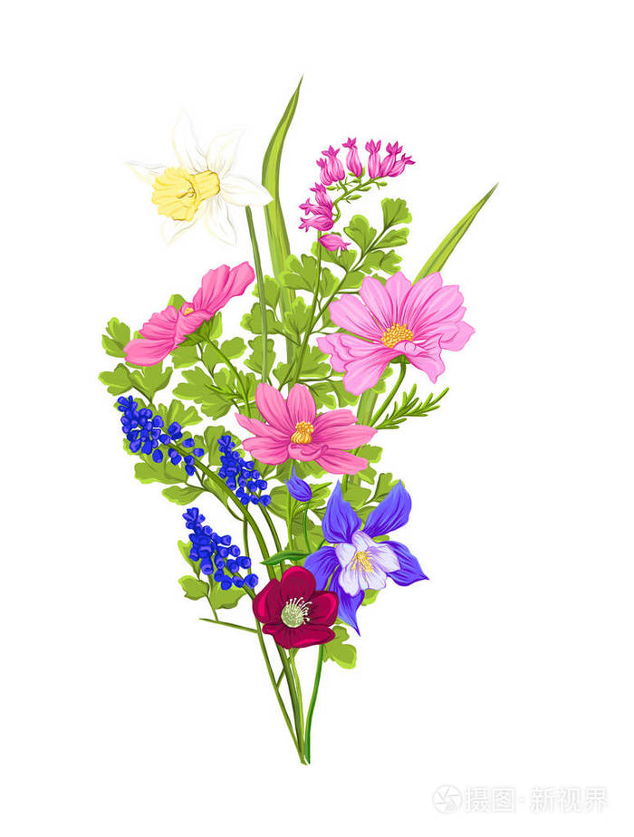 色彩逼真的矢量插画