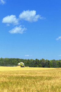 夏季景观联合收割机在阳光明媚的日子里的田野