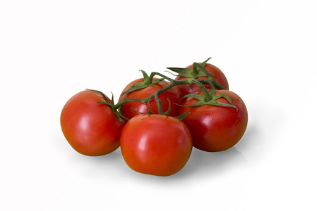 红番茄对整体护理体会图片