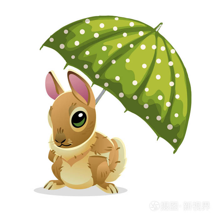 可爱的兔子在绿色的雨伞下被隔离在白色背景上.