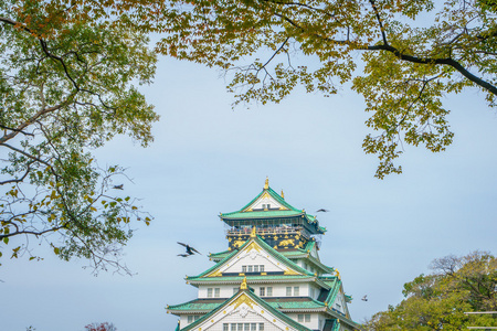 在日本大阪的大阪城堡