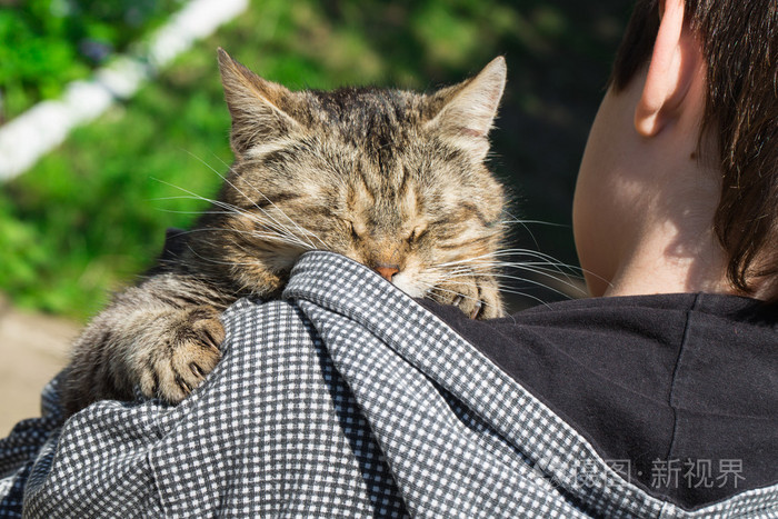 在男孩的肩膀上睡觉的小猫