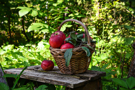 红色成熟苹果在篮子里