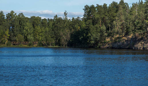 阳光明媚的夏日一座森林湖泊的岸边和一片乌云笼罩的蓝天