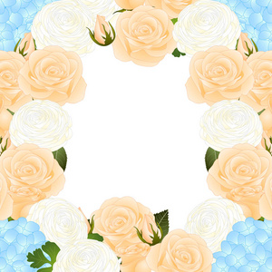 橙玫瑰, 蓝绣球和白色石龙芮边框。在白色背景下被隔离。矢量插图