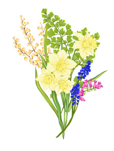 一束春天的花朵。色彩逼真的矢量插画