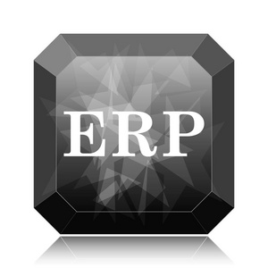 erp 图标