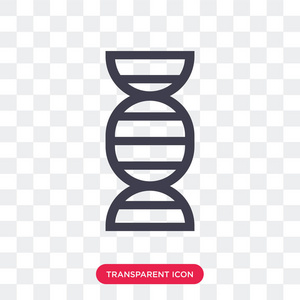 dna 矢量图标在透明背景下被隔离, dna 标识 des