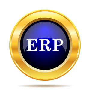 Erp 图标。白色背景上的互联网按钮