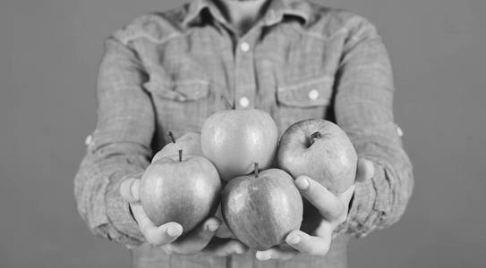 农产品和秋季产品的概念。农夫手掌里满是苹果
