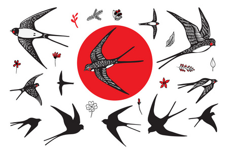 日本燕子集