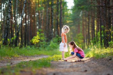 旅行的同伴图片