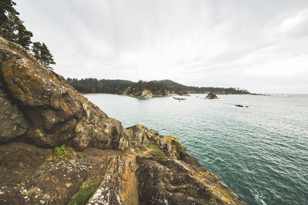 美丽的景色的太平洋海岸线，小山