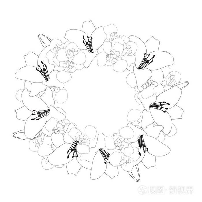 百合和虹膜花花圈在白色背景上的轮廓矢量插图