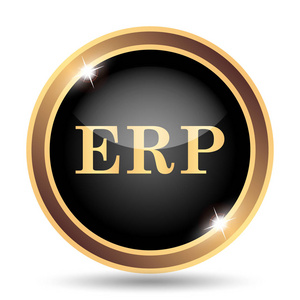 erp 图标