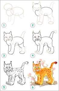 页显示如何一步一步一步学会画一只山猫