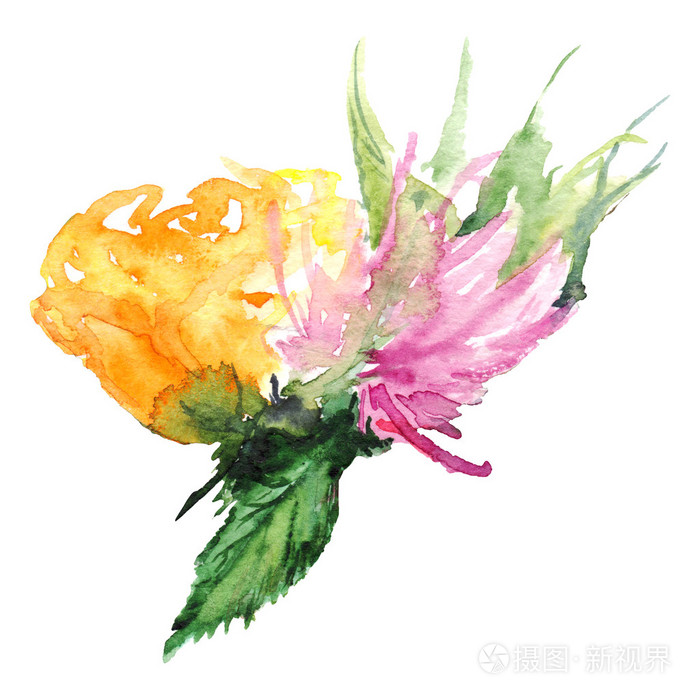 水彩花卉花胸花设置隔离的图