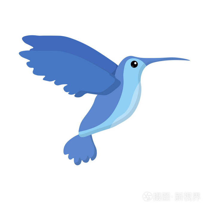 可爱的蓝色飞行蜂鸟鸟