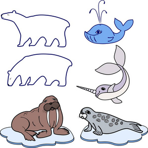 白色背景下极地动物的不同卡通动物集