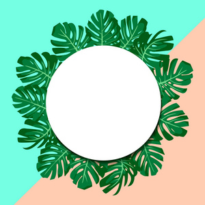 矢量插图。异国风情的热带绿叶龟背竹。圆纸横幅。薄荷和粉红色背景
