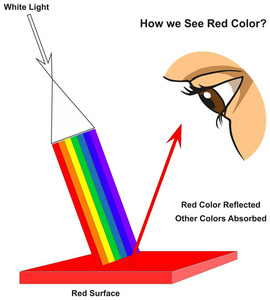 我们如何看到红色的颜色图表图显示可见光光谱光在表面和颜色反射或吸收根据它的颜色为物理科学教育