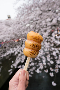 日本甜食谱丹戈烤着樱花背景