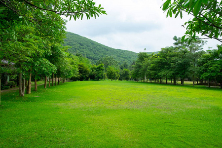 公园的春绿草场与山水背景图片