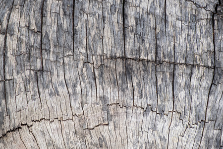 关闭了自然旧木材纹理背景与裂缝